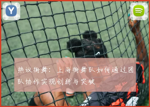 热议街舞：上海街舞队如何通过团队协作实现创新与突破