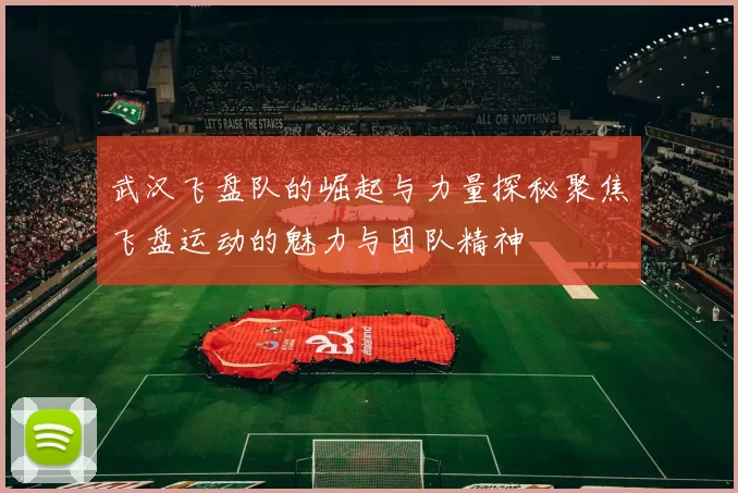 武汉飞盘队的崛起与力量探秘聚焦飞盘运动的魅力与团队精神