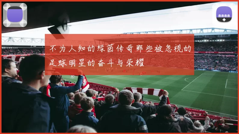 不为人知的绿茵传奇那些被忽视的足球明星的奋斗与荣耀