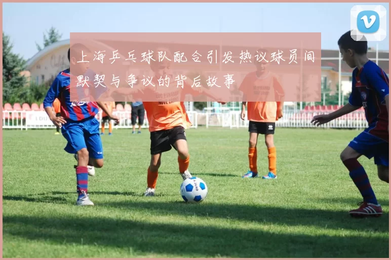 上海乒乓球队配合引发热议球员间默契与争议的背后故事