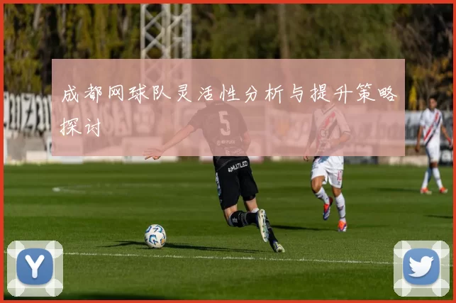 成都网球队灵活性分析与提升策略探讨