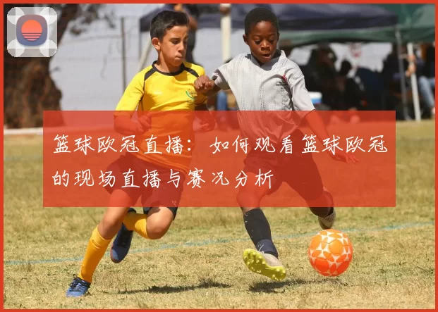 篮球欧冠直播：如何观看篮球欧冠的现场直播与赛况分析