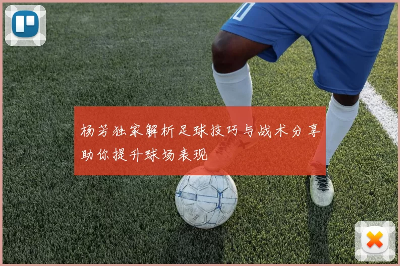 杨芳独家解析足球技巧与战术分享助你提升球场表现