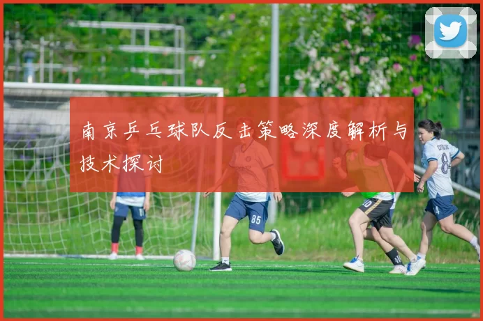 南京乒乓球队反击策略深度解析与技术探讨