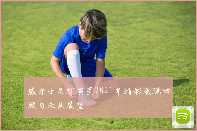 威尔士足球明星2021年精彩表现回顾与未来展望