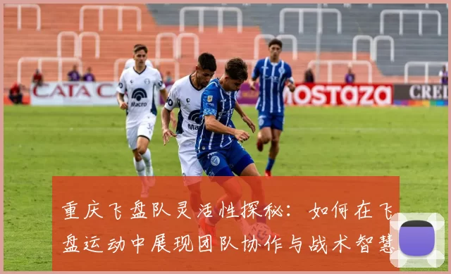 重庆飞盘队灵活性探秘：如何在飞盘运动中展现团队协作与战术智慧