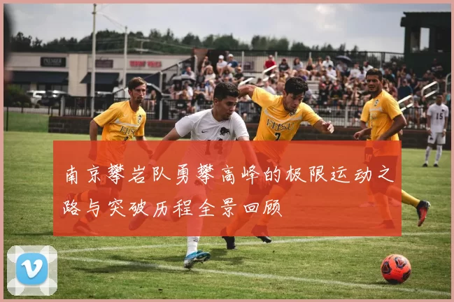 南京攀岩队勇攀高峰的极限运动之路与突破历程全景回顾