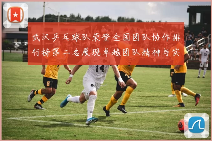 武汉乒乓球队荣登全国团队协作排行榜第二名展现卓越团队精神与实力