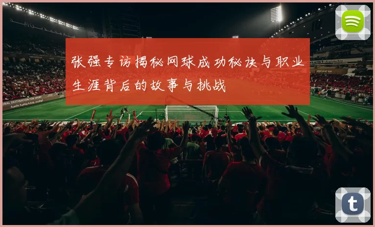 张强专访揭秘网球成功秘诀与职业生涯背后的故事与挑战