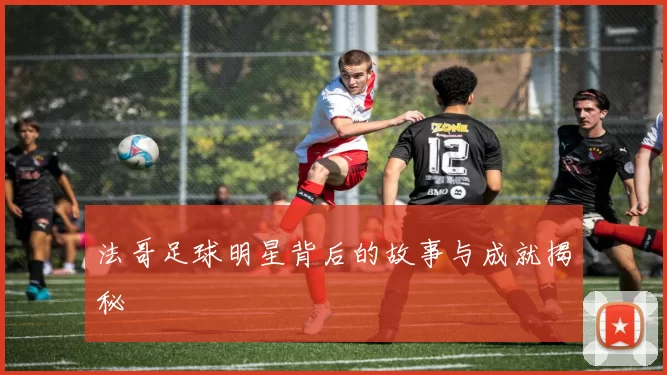 法哥足球明星背后的故事与成就揭秘