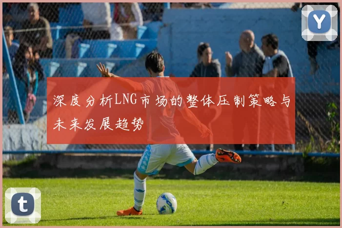 深度分析LNG市场的整体压制策略与未来发展趋势
