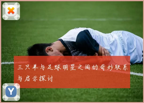 三只羊与足球明星之间的奇妙联系与启示探讨