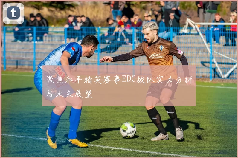 聚焦和平精英赛事EDG战队实力分析与未来展望