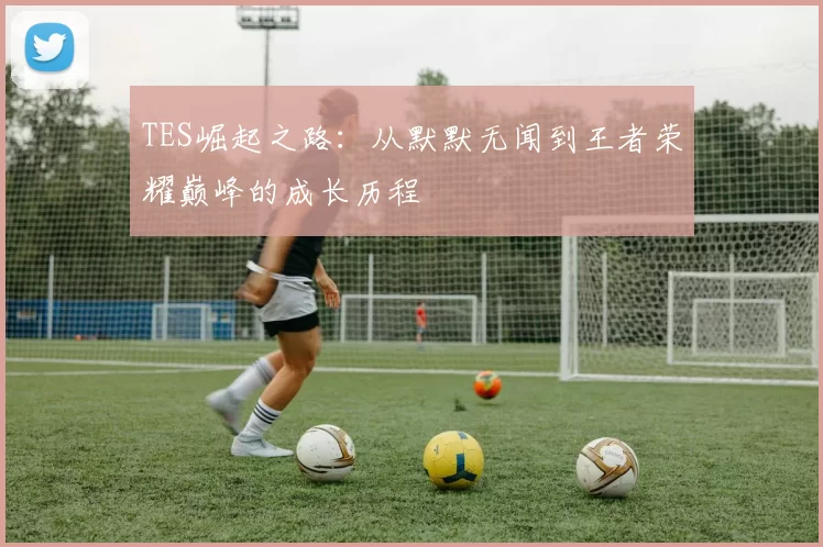 TES崛起之路：从默默无闻到王者荣耀巅峰的成长历程