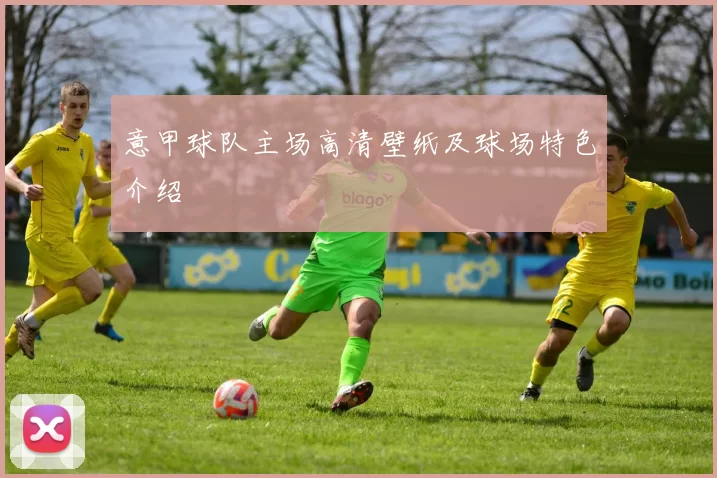 意甲球队主场高清壁纸及球场特色介绍