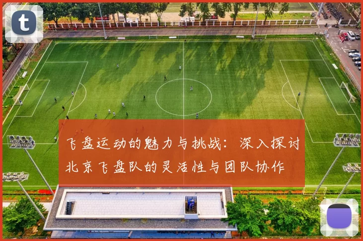 飞盘运动的魅力与挑战：深入探讨北京飞盘队的灵活性与团队协作