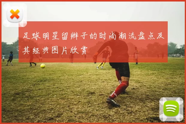 足球明星留辫子的时尚潮流盘点及其经典图片欣赏