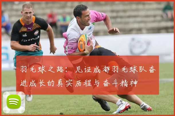 羽毛球之路：见证成都羽毛球队奋进成长的真实历程与奋斗精神