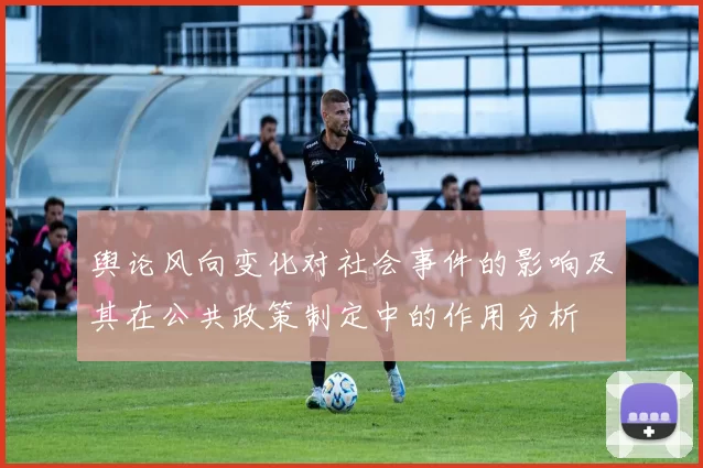 舆论风向变化对社会事件的影响及其在公共政策制定中的作用分析