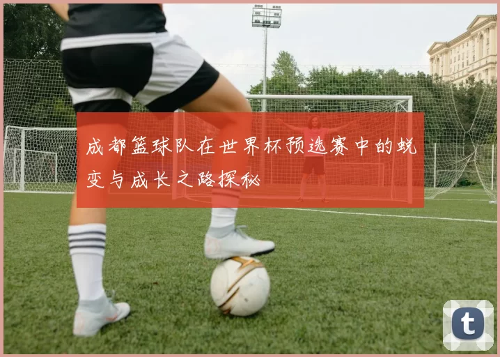 成都篮球队在世界杯预选赛中的蜕变与成长之路探秘