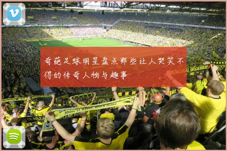 奇葩足球明星盘点那些让人哭笑不得的传奇人物与趣事