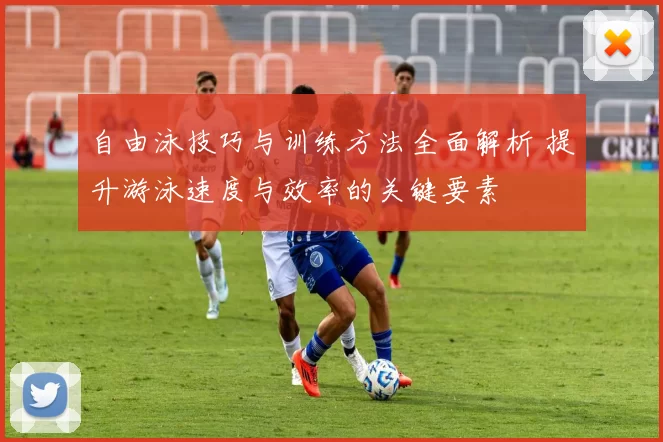 自由泳技巧与训练方法全面解析 提升游泳速度与效率的关键要素
