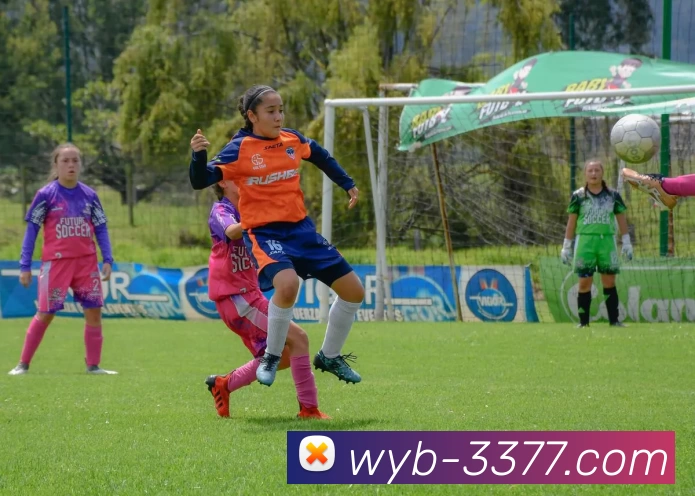 3377体育平台生态图